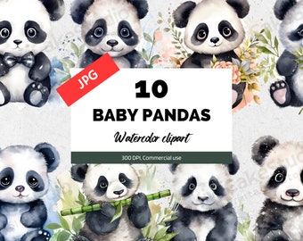 Watercolor Baby Panda Clipart, JPG, Digital download, Commercial use, Watercolor panda bear, Panda clip art, Cute panda illustrations