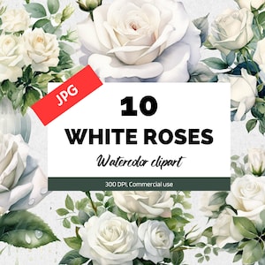 10 Watercolor white roses clipart JPGs, White Rose clip with leaves clip art, Digital download, Commercial use, Nursery wall art