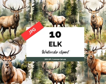 Watercolor elk clipart,  10 High quality JPGs, Commercial use, Instant download, Animal, Forest, Woods, Woodland, Nature, Trees, Card making