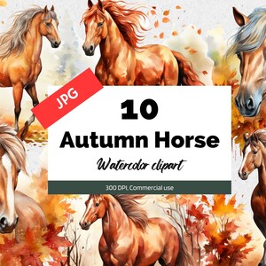Watercolor autumn horse clipart, 10 High quality JPG, Commercial use, Instant download, Fall graphics, Horses, Rural, Countryside, Scrapbook