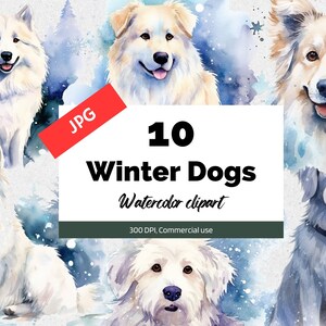Watercolor winter dog clipart,  10 High quality JPGs, Commercial use, Instant download, Christmas holiday, Winter clip art, Snowing, Snowy