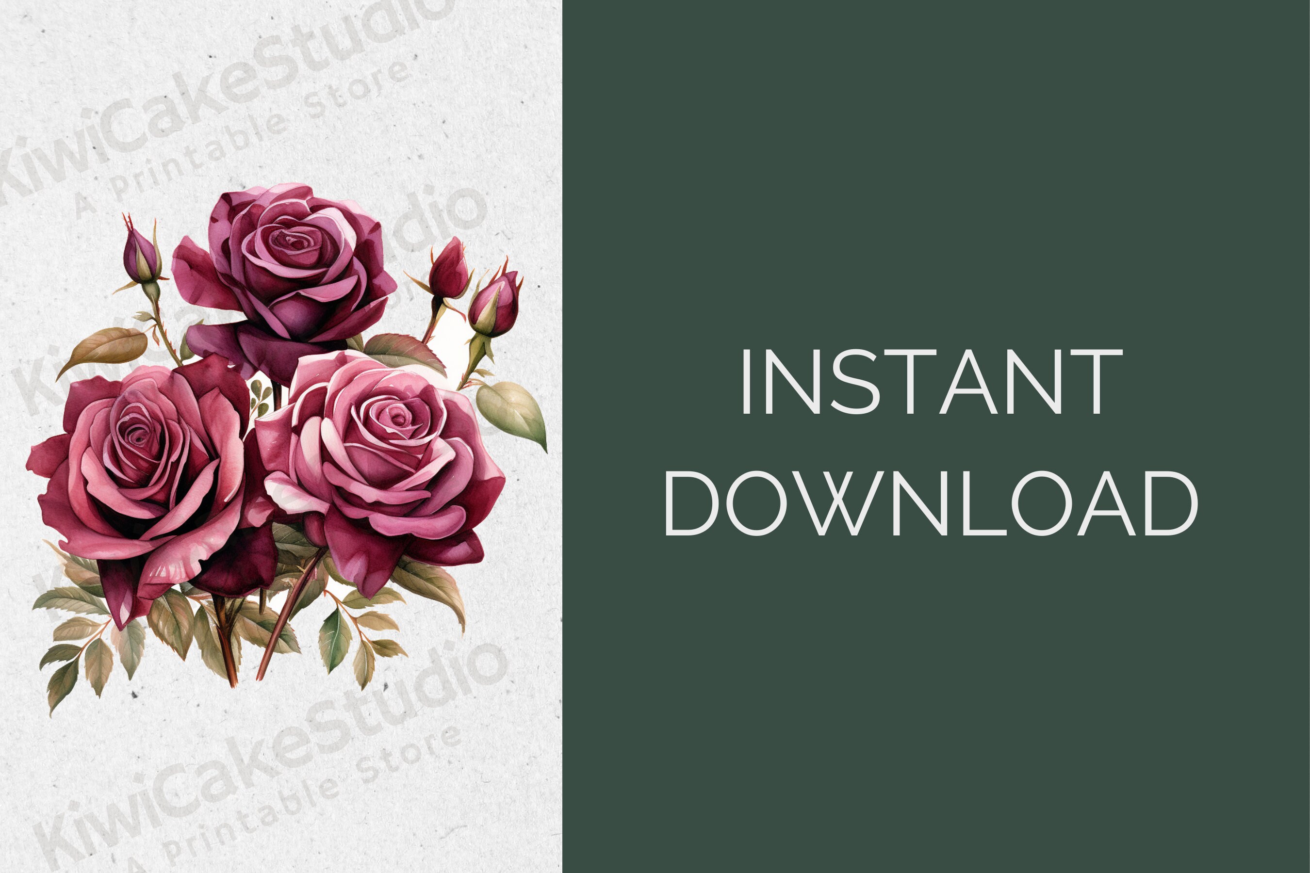 Bush De `Borgoña Iceberg' Con Hermosas Flores De Cabeza Moradas, En Un  Jardín Foto de archivo - Imagen de planta, cubo: 169426758, image size:2700x1800