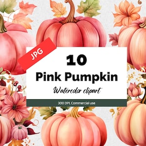 Watercolor pink pumpkin clipart, 10 High quality JPG, Commercial use, Instant download, Pink pumpkins, Fall, Autumn, Thanksgiving, Halloween