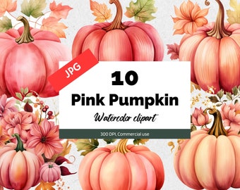Aquarell rosa Kürbis Clipart, 10 hochwertige JPG, kommerzielle Nutzung, sofortiger download, rosa Kürbisse, Herbst, Herbst, Thanksgiving, Halloween