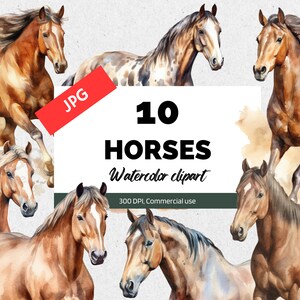 Watercolor horse clipart, High quality JPGS, Nursery Decor, Tumbler Wraps, Equestrian Events, Digital paper, Commercial Use