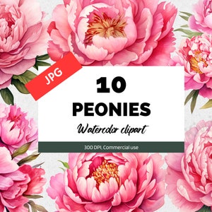 Watercolor peonies clipart, 10 High quality JPGs, Peony flower jpg embellishments, pink floral graphics, Commercial use, Instant download