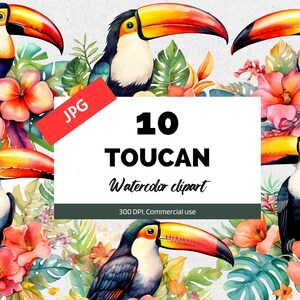Watercolor toucan clipart, 10 High quality JPGs, Commercial use, Instant download, Tropical animals, Summer birds, Vacation, Hawaii, Jungle