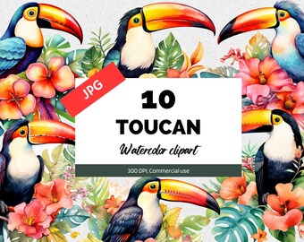 Watercolor toucan clipart, 10 High quality JPGs, Commercial use, Instant download, Tropical animals, Summer birds, Vacation, Hawaii, Jungle
