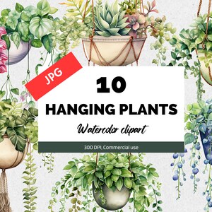 Aquarel hangende planten clipart, 10 JPG's van hoge kwaliteit, Commercieel gebruik, Direct downloaden, Kaarten maken, Tuinieren, Tuin, Zomertijd