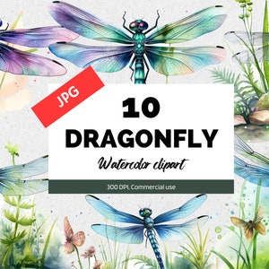 Watercolor dragonfly clipart, 10 High quality JPGs, Insect illustration, JPG graphics, Scrapbook embellishments, Commercial use, Nursery