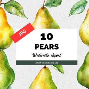Clipart di pere dell'acquerello, 10 JPG di alta qualità, Frutta estiva, Uso commerciale, Download istantaneo, ClipArt di pere, ClipArt di frutta, Scrapbook
