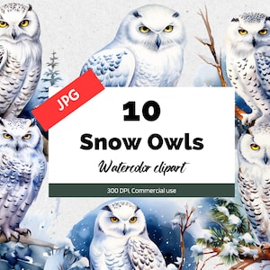Clipart de harfang des neiges à l'aquarelle, 10 JPG de haute qualité, Utilisation commerciale, Fabrication de cartes, Journal indésirable, Planificateur numérique, Animal d'hiver, Créatures de neige