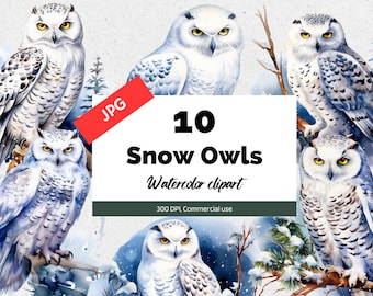 Watercolor snow owl clipart, 10 High quality JPGs, Commercial use, Card making, Junk journal, Digital planner, Winter animal, Snow creatures