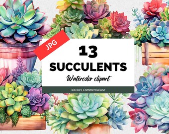 May include: A digital illustration of 13 watercolor succulent plants in various colors and arrangements. The succulents are in pots and some are spilling over the edges. The text "13 Succulents Watercolor clipart 300 DPI, Commercial use" is on a white background.