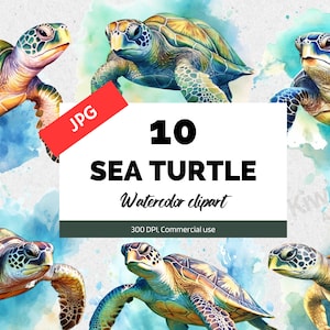Aquarell Meeresschildkröte Clipart, nautische Meerestiere, 10 hochwertige JPGs, niedliche Schildkröten, kommerzielle Nutzung, Kartenherstellung, Sofortiger Download