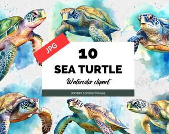 Watercolor sea turtle clipart, Nautical ocean animals, 10 High quality JPGs, cute turtles, Commercial use, Card making, Instant download