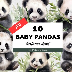 Clipart de bebê panda em aquarela, 10 JPGs de alta qualidade, álbum de recortes, licença comercial, download instantâneo, mídia mista, artesanato em papel digital