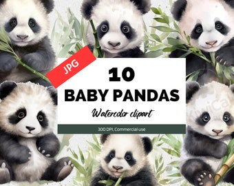 Watercolor baby panda clipart, 10 High quality JPGs, Scrapbooking, Commercial license, Instant download, Mixed media, Digital paper craft