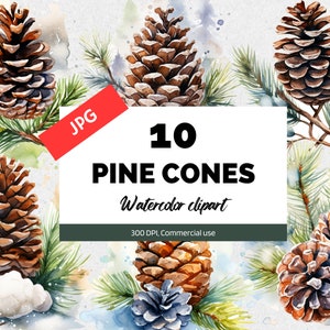 Watercolor pine cones clipart, 10 High quality JPGs, Christmas clip art, Winter wonderland, Winter clip arts, Card making, Commercial use