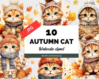Autumn cat clipart, 10 High quality JPGs, Commercial use, Instant download, Fall, Thanksgiving, Halloween, Autumn graphics, Watercolor fall