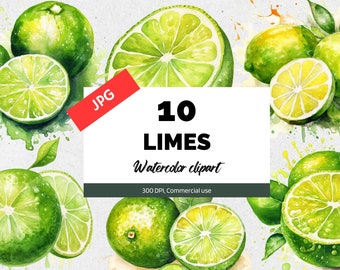 Aquarel limoen clipart, 10 JPG's van hoge kwaliteit, Commercieel gebruik, Direct downloaden, Citrusvruchten clip art, Limoenen, Tropische zomer, Limoenschijfjes