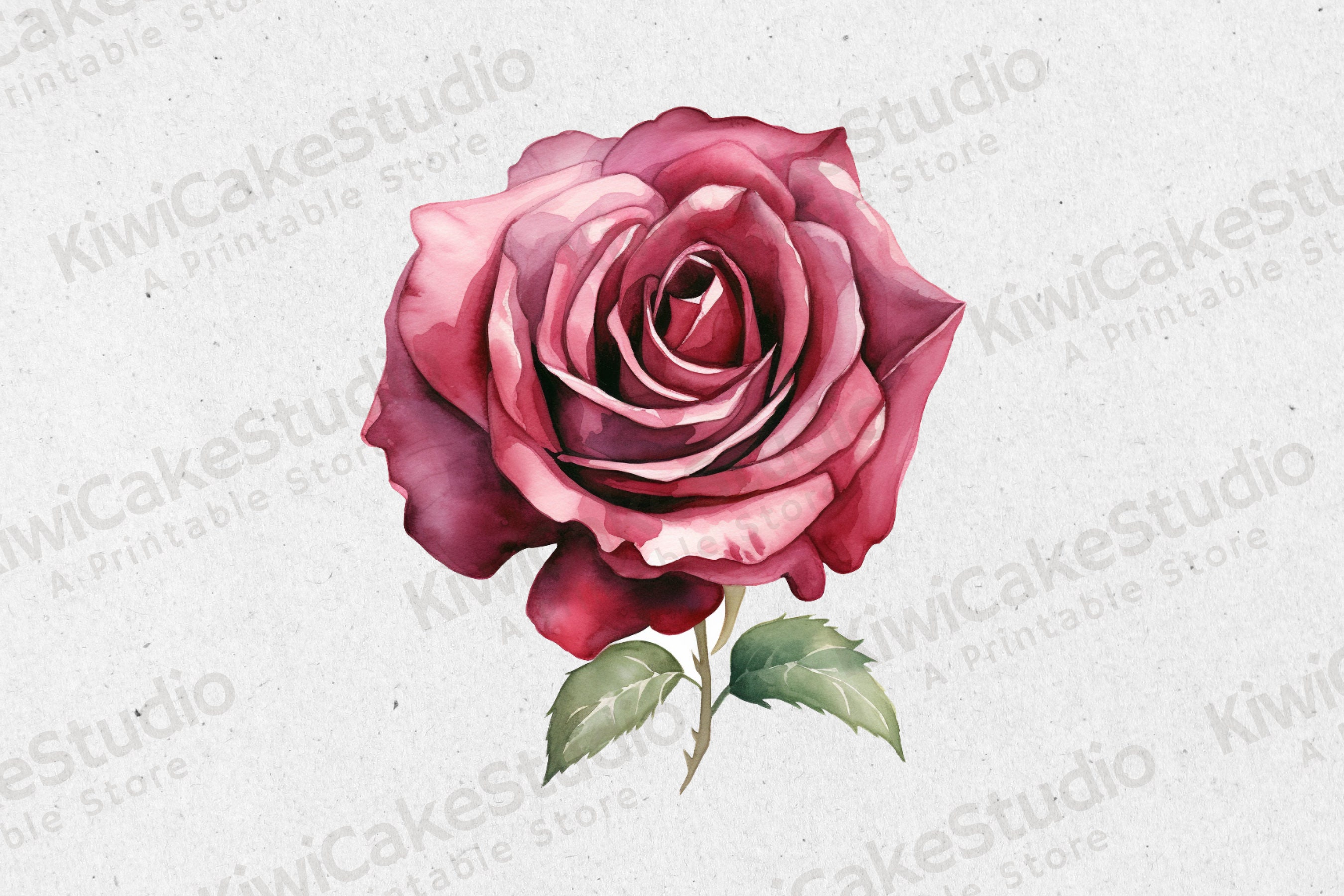 Ramo de 38 rosas eternas 🌹, color burdeos. Gracias a nuestros nuevos  clientes por la confianza!, #happyvalentinesday2023 ❤️ | Decoraciones Reyes  | Facebook, image size:2700x1800