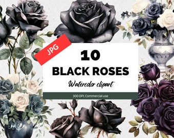 Watercolor black roses clipart, 10 High quality JPGs, Scrapbooking images, floral clipart, Commercial use, Digital download, With leaves
