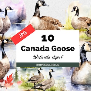 Watercolor Canadian geese clipart, 10 High quality JPGs, Digital planners, Invitation cards, Card making, Commercial use, Instant download