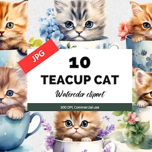Cute teacup cat clipart, 10 JPG di alta qualità, Uso commerciale, Download istantaneo, Gattini carini, ClipArt adorabili, Floreale, Fiori, Tea party