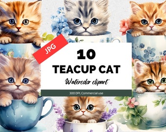Cute teacup cat clipart, 10 High quality JPGs, Commercial use, Instant download, Cute kittens, Adorable clip art, Floral, Flowers, Tea party