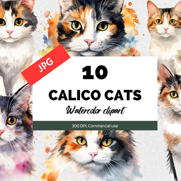 Watercolor calico cat clipart, JPGs, Cute floral cats and kittens, Feline clip art, Commercial use, Instant download, Card making, Nursery