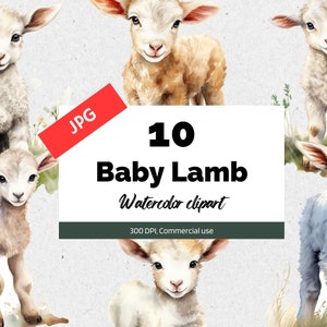 Watercolor baby lamb clipart, 10 High quality JPGs, Commercial license, Instant download, Card making, Cute animals, Animal, Lamb, Nature