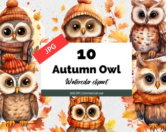 Watercolor autumn owl clipart, 10 High quality JPGs, Commercial use, Instant download, Cute owls, Kids bedroom printable, Nursery decors