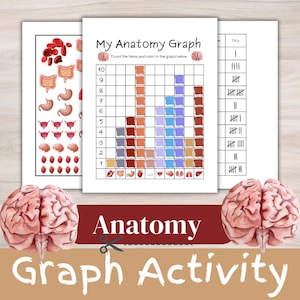 May include: A printable anatomy graph activity worksheet with a tally chart. The worksheet includes a grid with 10 rows and 10 columns. The grid is divided into five sections, each representing a different organ system. The organ systems are represented by icons of the heart, lungs, stomach, intestines, and brain. The worksheet also includes a tally chart for counting the number of each organ system.