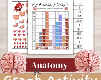 Anatomy Counting Tally Sheets – Kindergarten Math Activity, Preschool Printables, Data Analysis for Kids, Human Body Worksheets