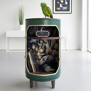 Könnte beinhalten: Ein grüner, fassförmiger Schrank mit goldenen Zierleisten und einem dunklen Holzregal. Der Schrank hat ein floral gemustertes Innendesign und enthält Schallplatten, Kopfhörer und einen Lautsprecher. Ein grüner Papagei mit blauem Kopf sitzt oben.