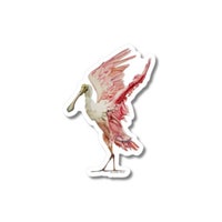 Spoonbill - Etsy