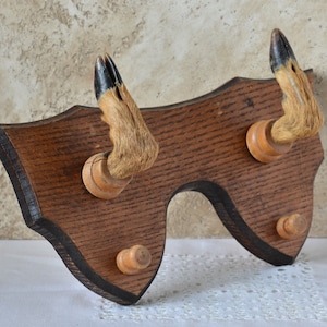 May include: A wooden wall mount with two deer feet attached. The feet are mounted on wooden dowels and have black hooves. The mount is stained a dark brown color and has a black border.