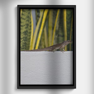 Printable Digital Photo of Tropical Lizard