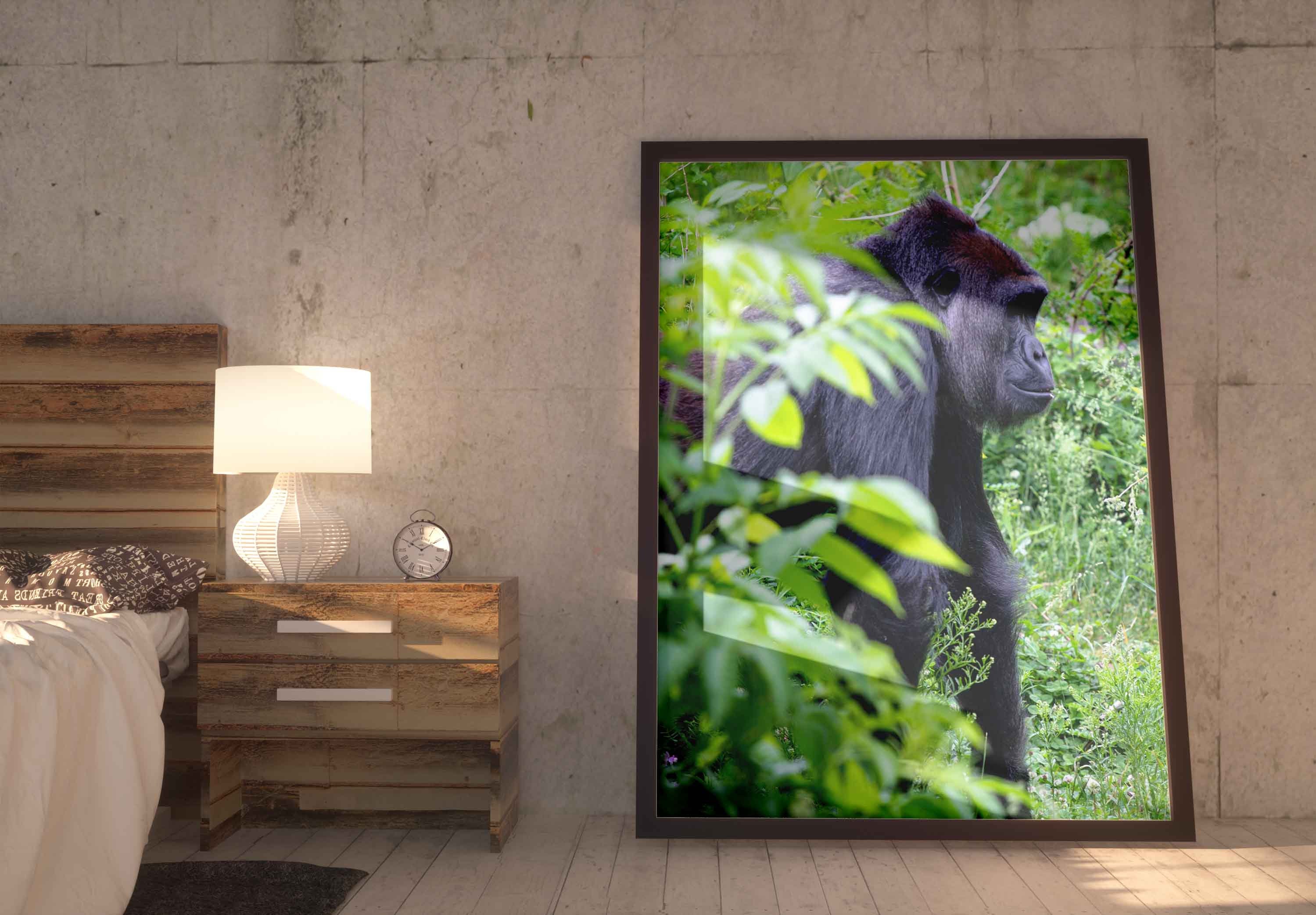 Printable Digital Photo of Large Silverback Gorilla / Monkey / Ape - Etsy