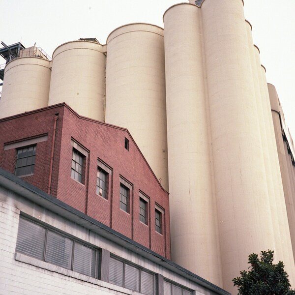 Photography Print | Film Photograph Digital Download | Kensington, Australia | Flour Mill | Old Building | Printable Art