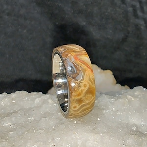 Indonesian petrified palm root on a silver titanium band, size 7 1/2