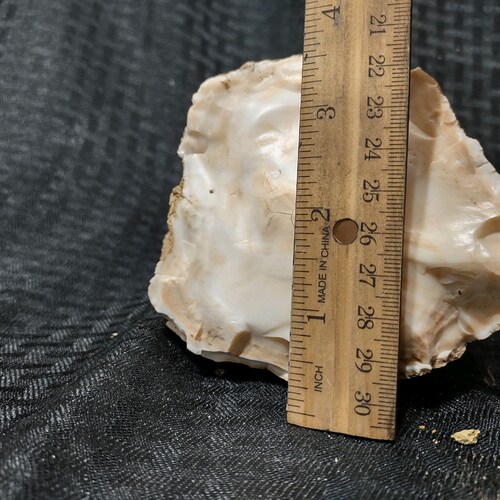 Opalized petrified wood, complete round log, totally opalized, very shops unique piece, 5 pounds