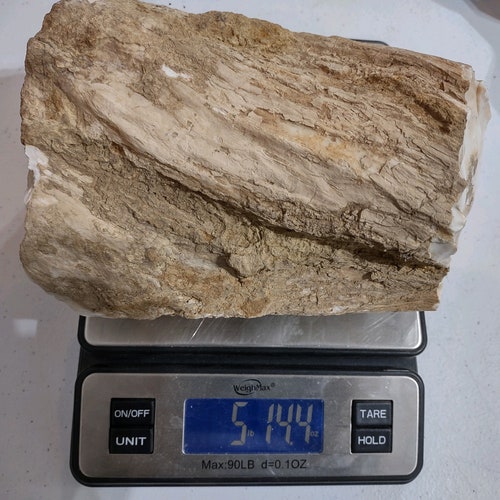 Opalized petrified wood, complete round log, totally opalized, very shops unique piece, 5 pounds