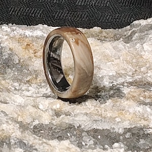 Petrified wood ring with tungsten core, size 13