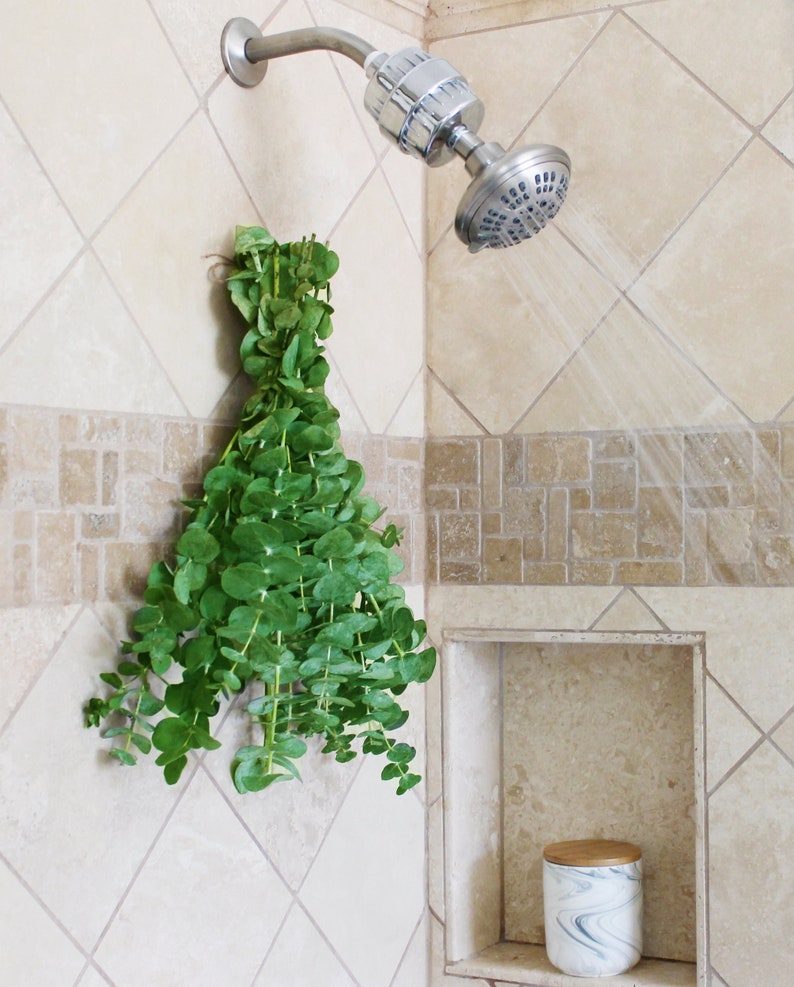 Eucalyptus Shower Bundle Aromatherapy Fresh Eucalyptus Shower