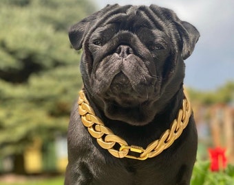 Gold Dog Chain - Etsy UK