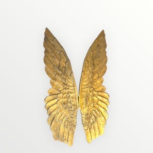 Angel Wings Wall Mounted Sculpture