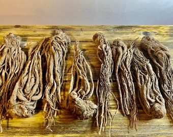 Whole Master Root  -(MasterRoots) Spirituality/ Curio  / Hoodoo/ Wiccan / Metaphysical(ships worldwide)