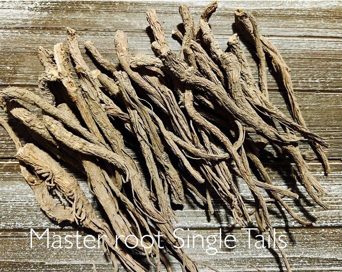 Master Root Real Root MASTER ROOT- Master Root End Tails Bag -master of All Things Root ...